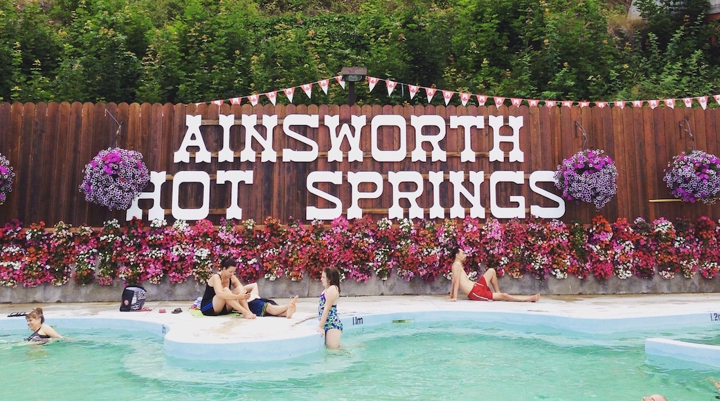 Inside the hot spring caves at Ainsworth Hot Springs Resort. The temperature ranges between 104 and 107 within the cave. It was super dark and kind of scary - only lit up with a few lights. I got over that fear quickly as soon as I immersed myself. Hands down the best springs I've visited so far.
The desk clerk explained to me that these springs have incredibly high mineral content including Lithium which is why after spending some time in the caves you come out feeling like a melted marshmallow. Every muscle became super relaxed and my skin was so smooth.
The entrance fee is 12.00 for general entry and 17.00 for in and out privileges. If you stay at the hotel your cost is included with the room.