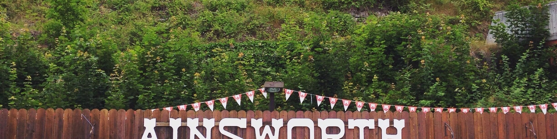Inside the hot spring caves at Ainsworth Hot Springs Resort. The temperature ranges between 104 and 107 within the cave. It was super dark and kind of scary - only lit up with a few lights. I got over that fear quickly as soon as I immersed myself. Hands down the best springs I've visited so far.
The desk clerk explained to me that these springs have incredibly high mineral content including Lithium which is why after spending some time in the caves you come out feeling like a melted marshmallow. Every muscle became super relaxed and my skin was so smooth. 
The entrance fee is 12.00 for general entry and 17.00 for in and out privileges. If you stay at the hotel your cost is included with the room.