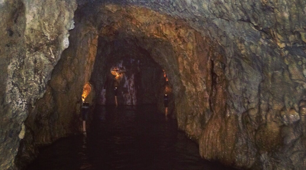 Inside the hot spring caves at Ainsworth Hot Springs Resort. The temperature ranges between 104 and 107 within the cave. It was super dark and kind of scary - only lit up with a few lights. I got over that fear quickly as soon as I immersed myself. Hands down the best springs I've visited so far.
The desk clerk explained to me that these springs have incredibly high mineral content including Lithium which is why after spending some time in the caves you come out feeling like a melted marshmallow. Every muscle became super relaxed and my skin was so smooth.
The entrance fee is 12.00 for general entry and 17.00 for in and out privileges. If you stay at the hotel your cost is included with the room.