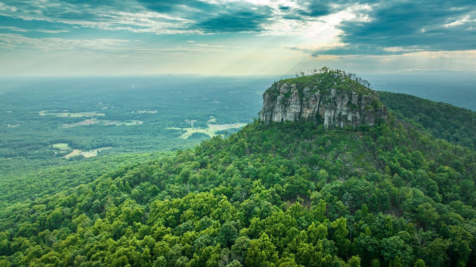 A lush green forest with a prominent rocky outcrop.