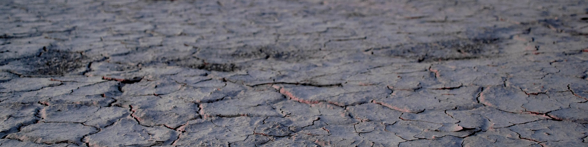 2020 of Feb 23th - Renoville, California