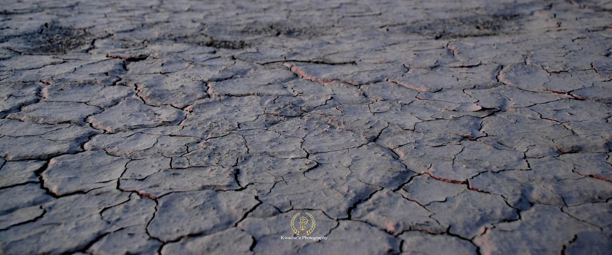 A dry, cracked earth surface with a distant mountain range and a pinkish sky.