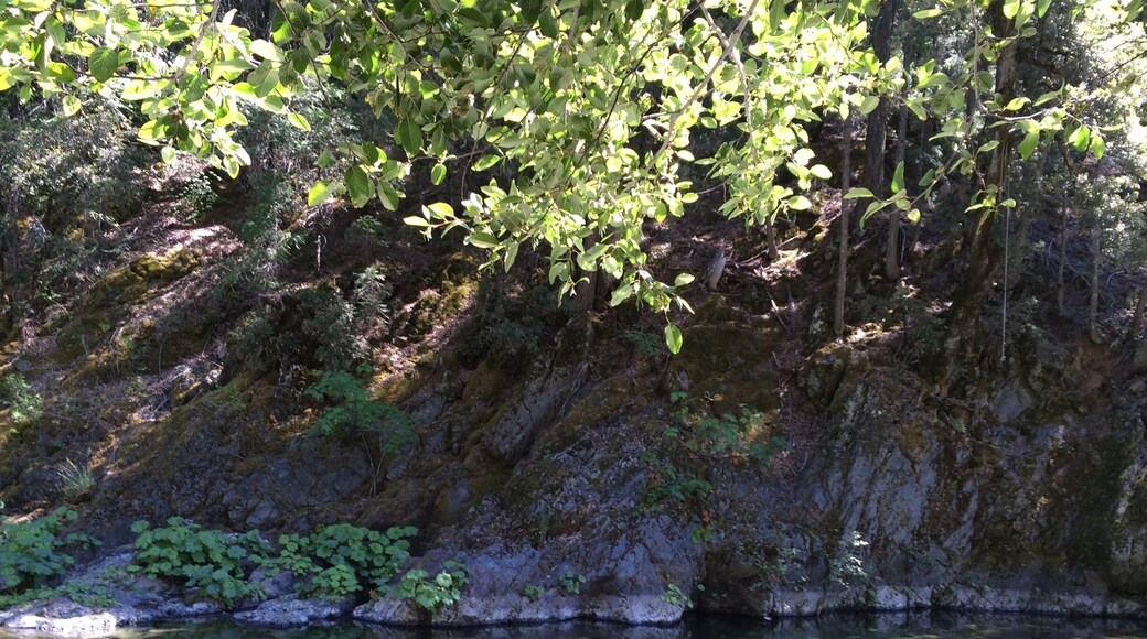 Yuba River Swimming Hole.