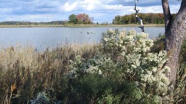 The scenic beauty of the Eastern Neck National Wildlife REfuge, during the autumn season, Kent County, Rock Hall, Maryland.