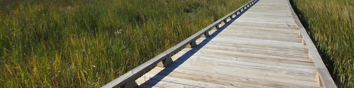 Visitors enjoy the beautiful scenery, while hiking the Tubby Cove Boardwalk Trail within the Eastern Neck National Wildlife Refuge, Kent County, Rock Hall, Maryland.