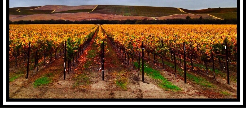 The light changed dramatically after a quick lunch