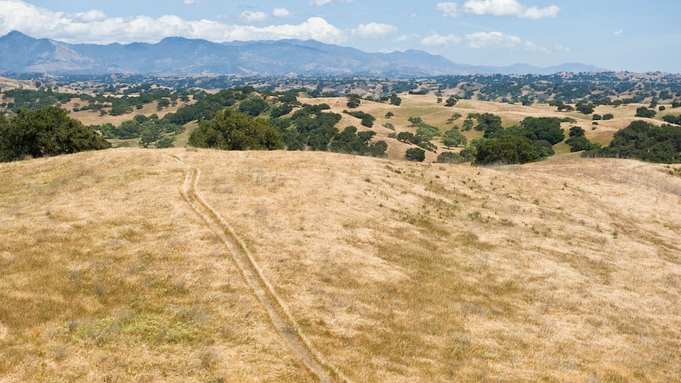 A dry grass-covered hill with a dirt path leading towards a valley with scattered trees and distant mountains.