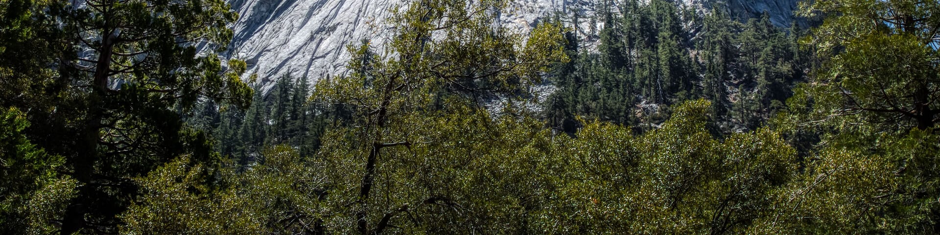 A rugged mountain peak with dense forest at its base.