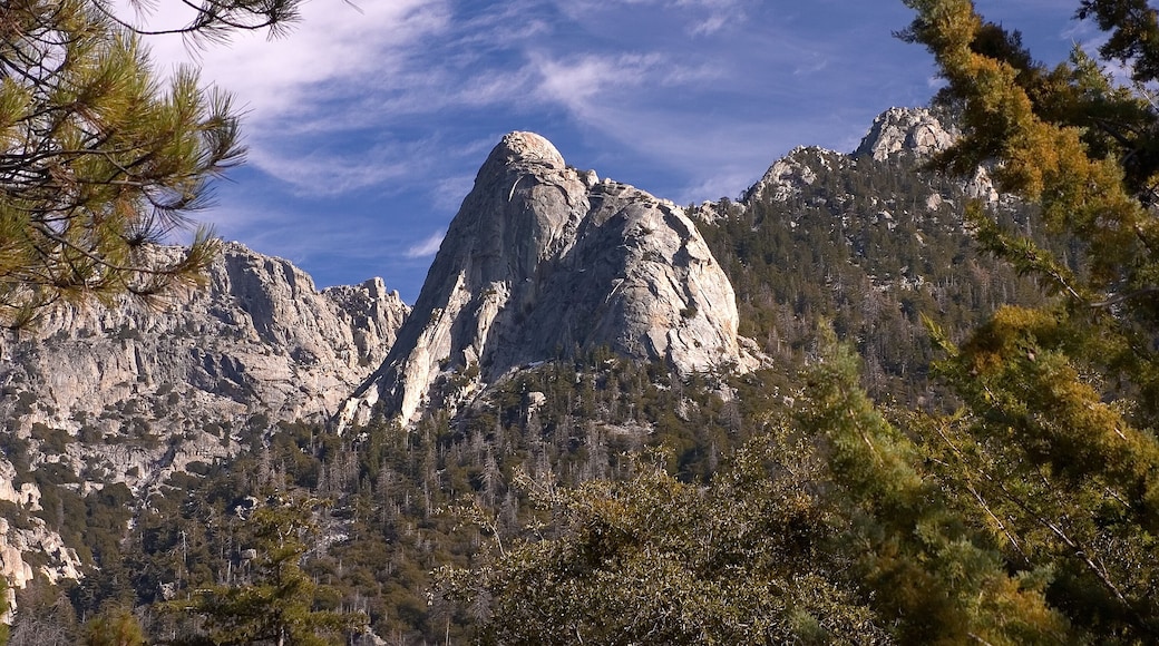 Idyllwild