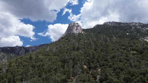 Idyllwild