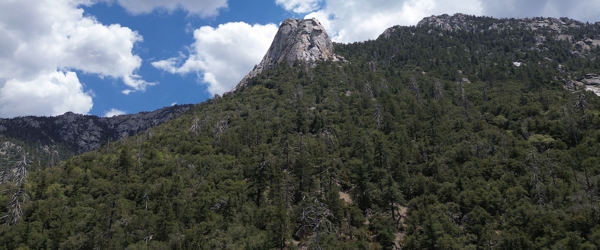 A mountain with a prominent peak, dense forest, and a partly cloudy sky.
