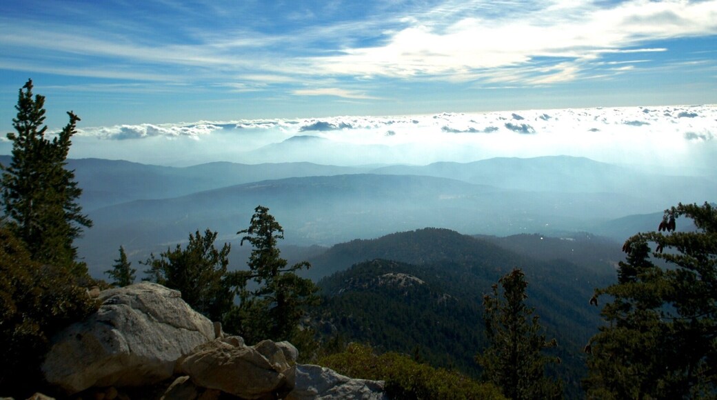 ☁️ Do you feel like #hiking to cloud level? Choose a spot in Idyllwild CA!