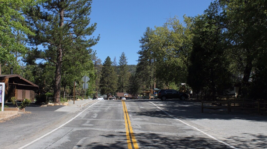 Very busy road because it was the only road, I had to run back forth to take this picture because were driving by so quickly.
