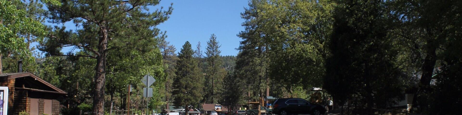 Very busy road because it was the only road, I had to run back forth to take this picture because were driving by so quickly.