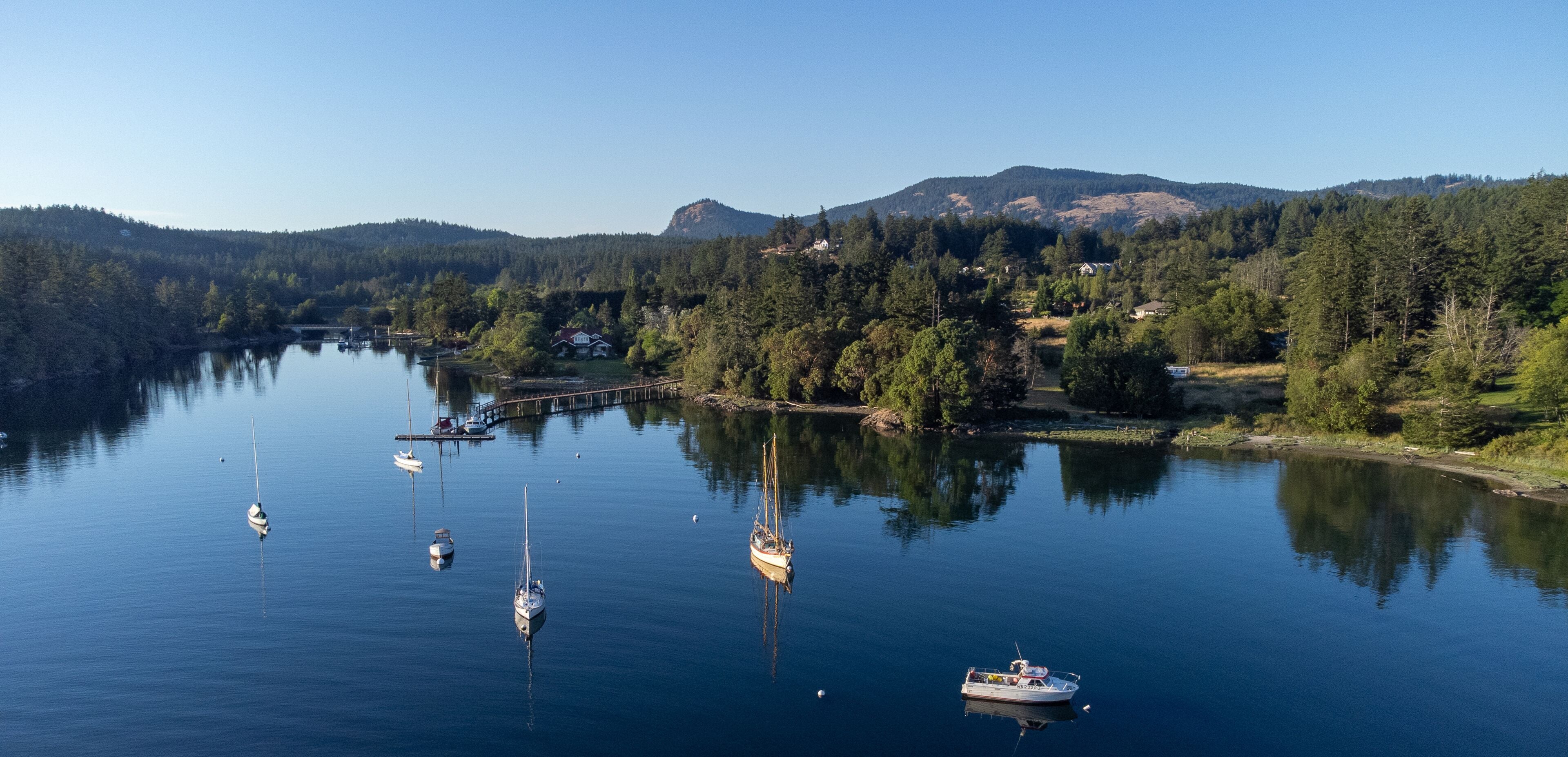 A calm lake with several sailboats anchored, surrounded by dense forest and a mountain in the background.