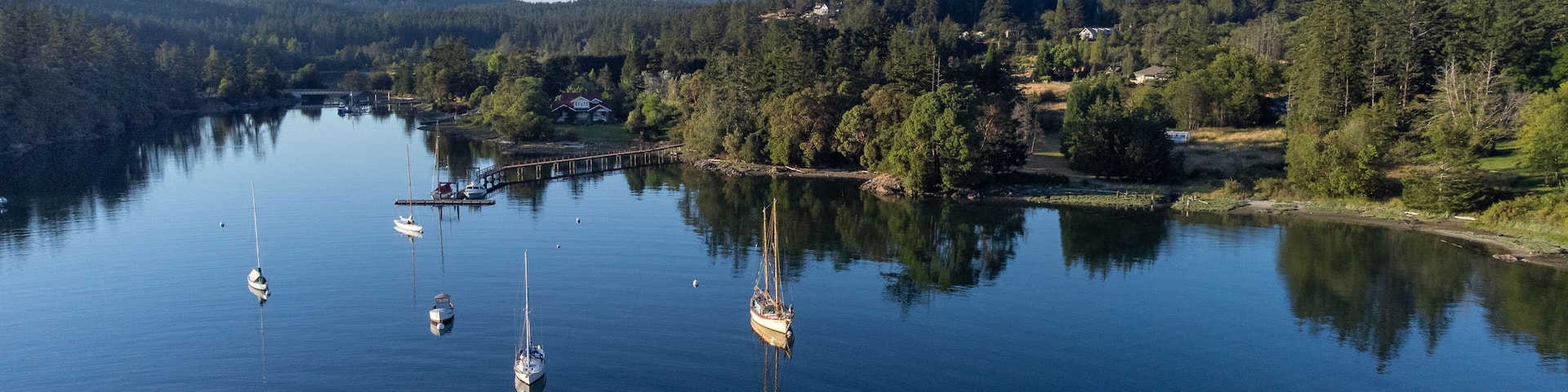 A calm lake with several sailboats anchored, surrounded by dense forest and a mountain in the background.