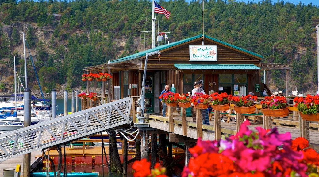 Deer Harbor which includes a marina, flowers and a coastal town