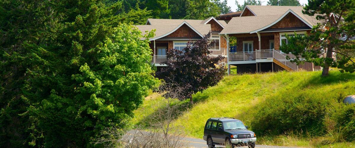 A green car on a road with a house in the background.
