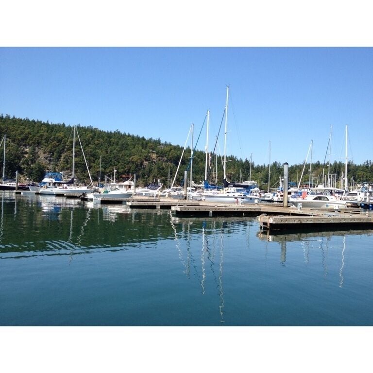 A marina with sailboats docked along a calm waterfront, surrounded by a forested hillside.