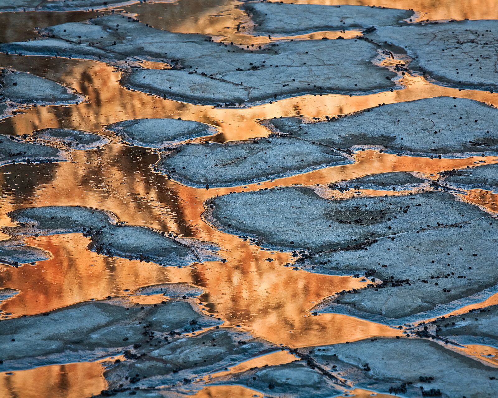 Low tide on the sea bed with a seaside cliff reflection created this golden #patterns.