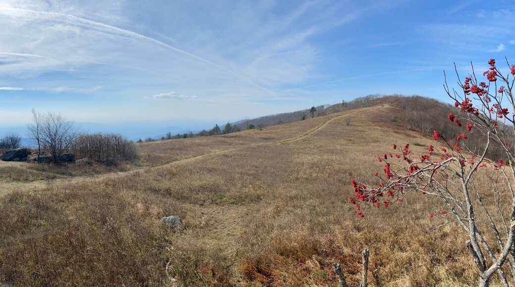 Cold Mountain - Amherst County, VA