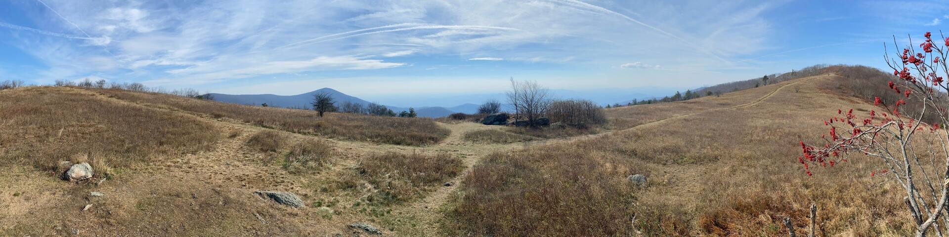 Cold Mountain - Amherst County, VA