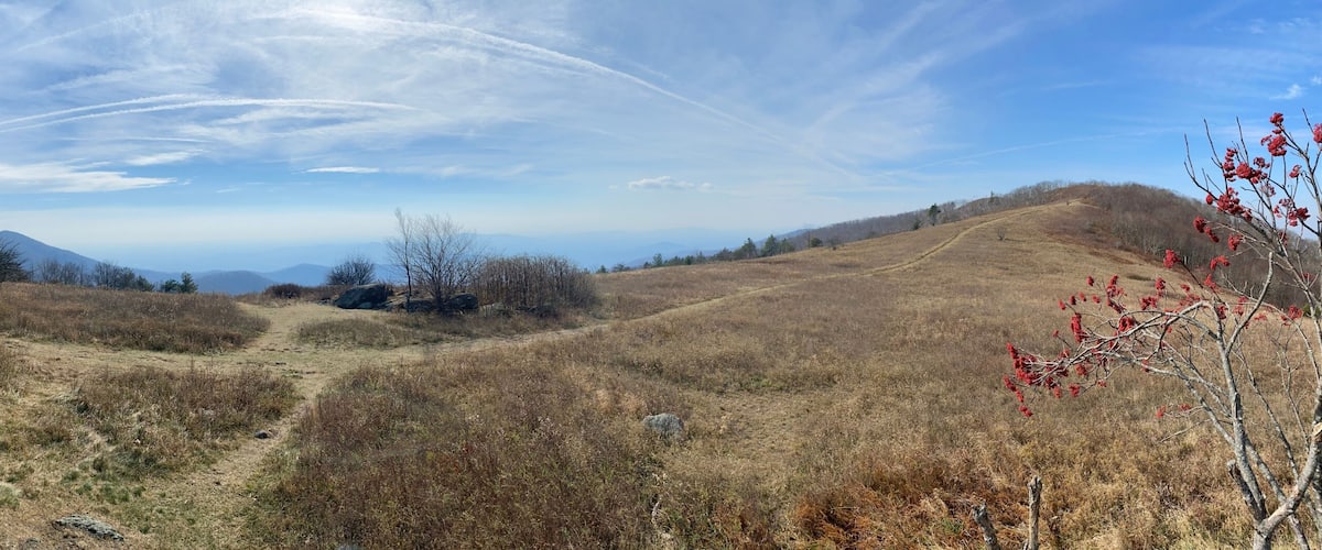 A dry grassland with a clear sky, distant mountains, and a winding path.