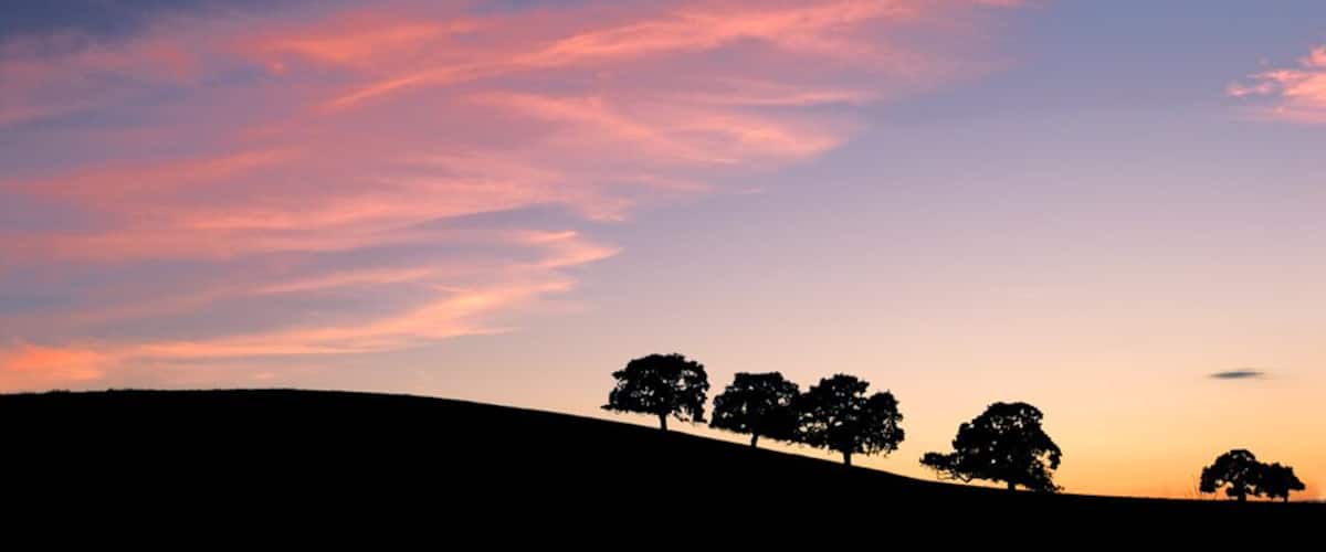 Oak Hills. This was taken around the hillside of Mt. Diablo.