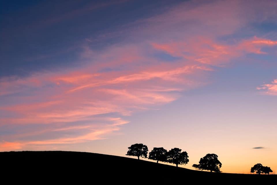 A sunset over a hill with silhouettes of trees.