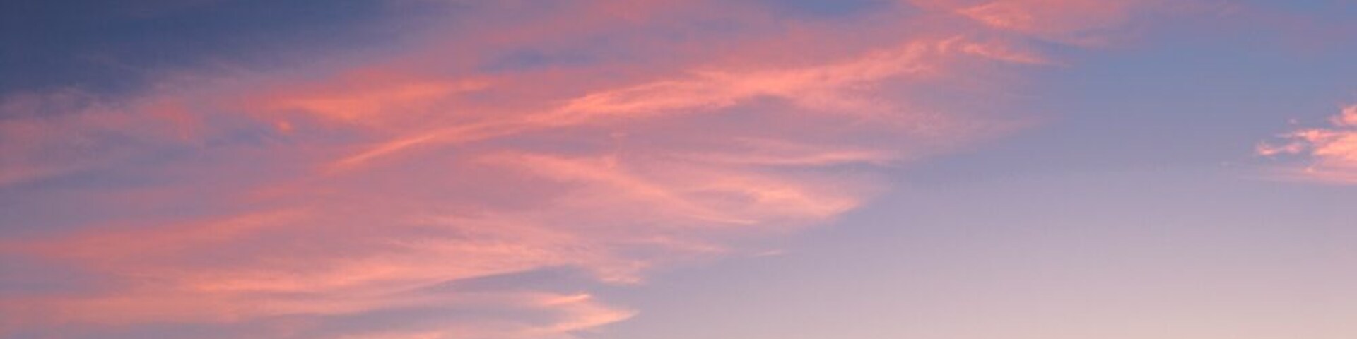 Oak Hills. This was taken around the hillside of Mt. Diablo.