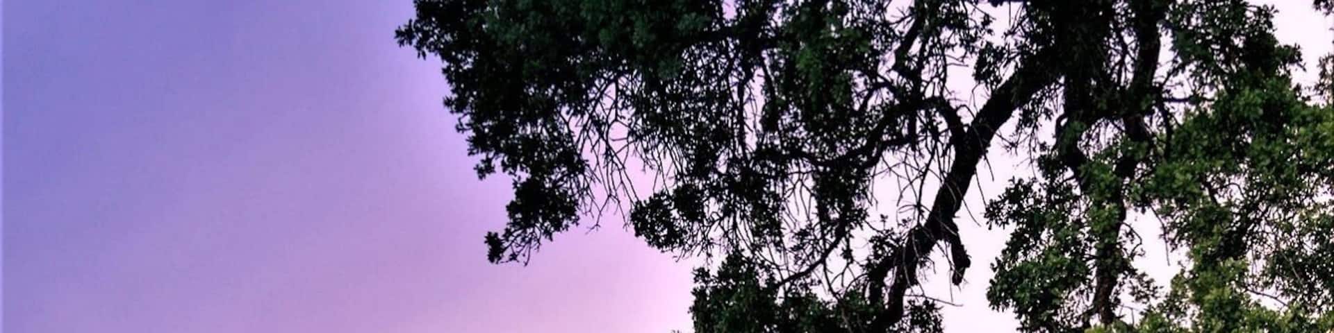 Love finding places off the beaten track ...It is an isolated upthrust peak of 3,849 feet (1,173 m), visible from most of the San Francisco Bay Area. Mount Diablo appears from many angles to be a double pyramid and has many subsidiary peaks, the largest and closest of which is the other half of the double pyramid, North Peak, nearly as high in elevation at 3,557 feet (1,084 m) and about a mile northeast of the main summit.