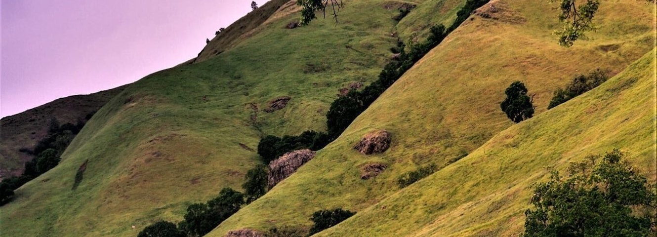 Love finding places off the beaten track ...It is an isolated upthrust peak of 3,849 feet (1,173 m), visible from most of the San Francisco Bay Area. Mount Diablo appears from many angles to be a double pyramid and has many subsidiary peaks, the largest and closest of which is the other half of the double pyramid, North Peak, nearly as high in elevation at 3,557 feet (1,084 m) and about a mile northeast of the main summit.