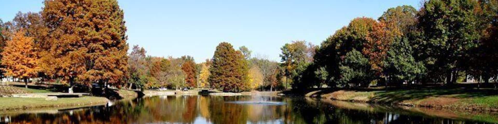 Beautiful fall trees