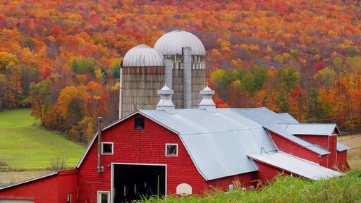 Barn Fairfield VT