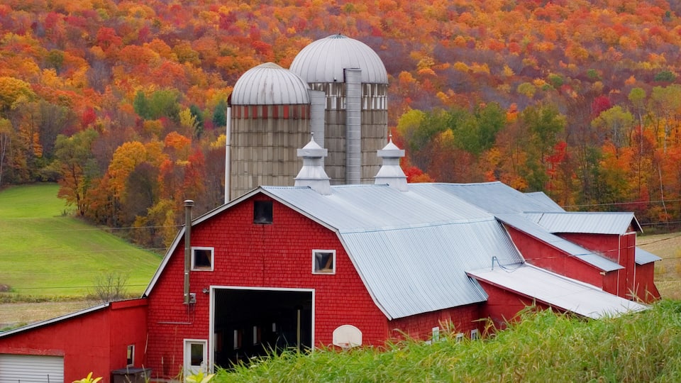 A red barn with a metal roof, surrounded by lush green fields and a backdrop of autumn-colored trees.