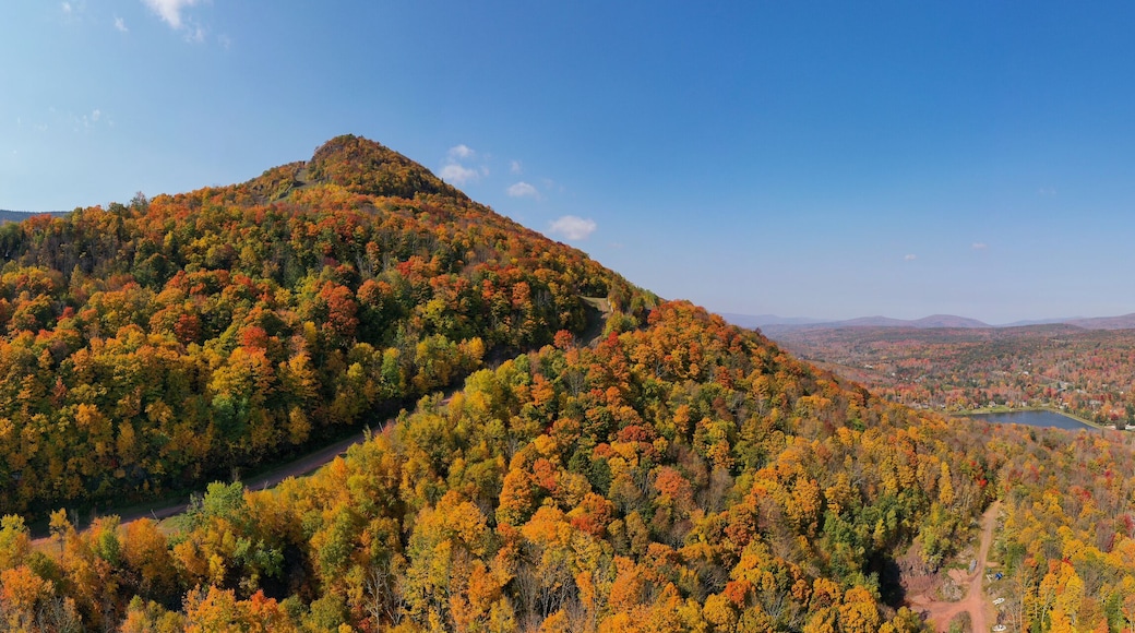 สปริงวิลล์