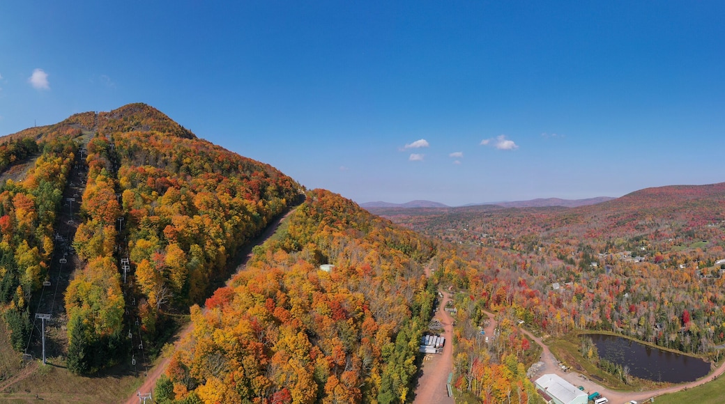 สปริงวิลล์