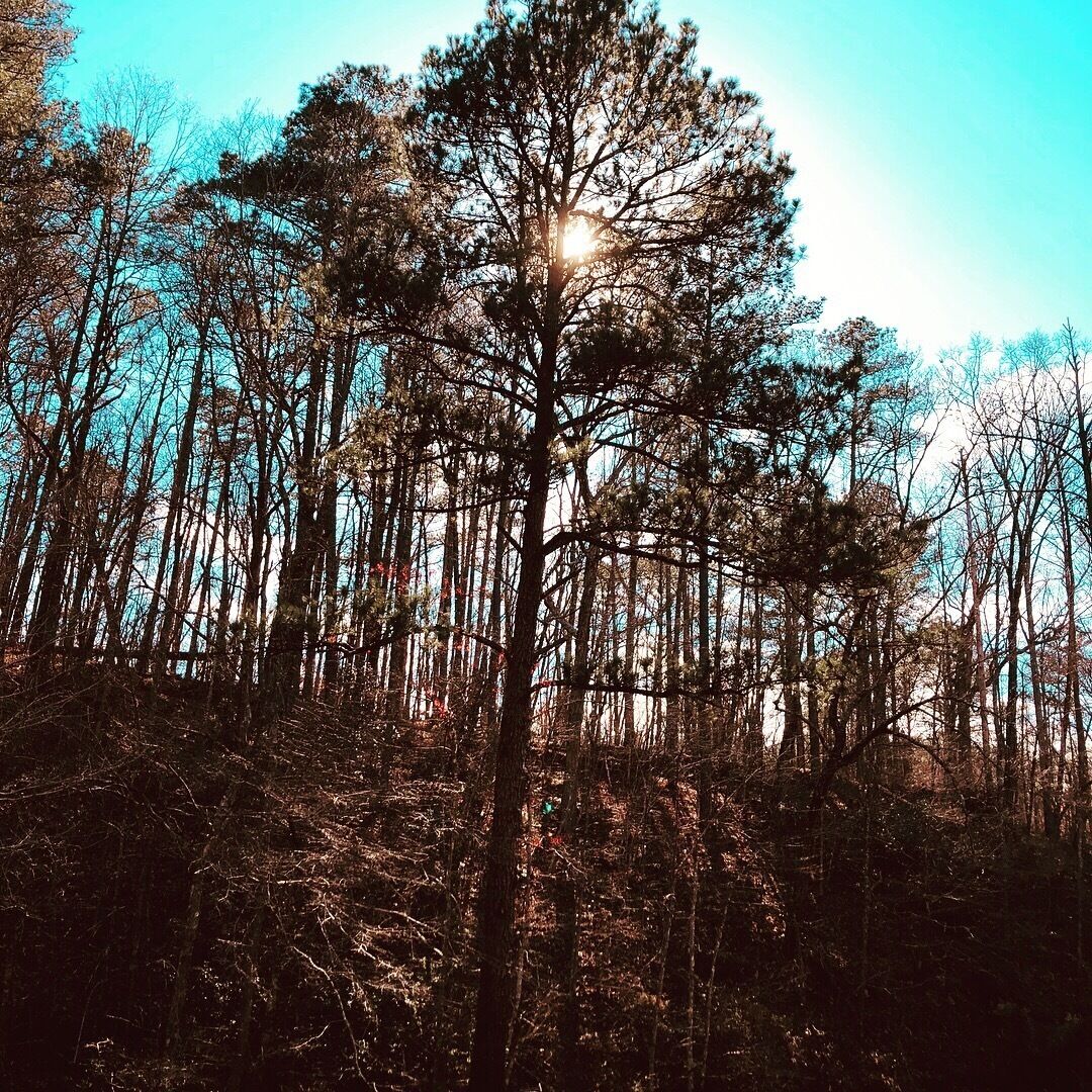 Easy hike on a beautiful day