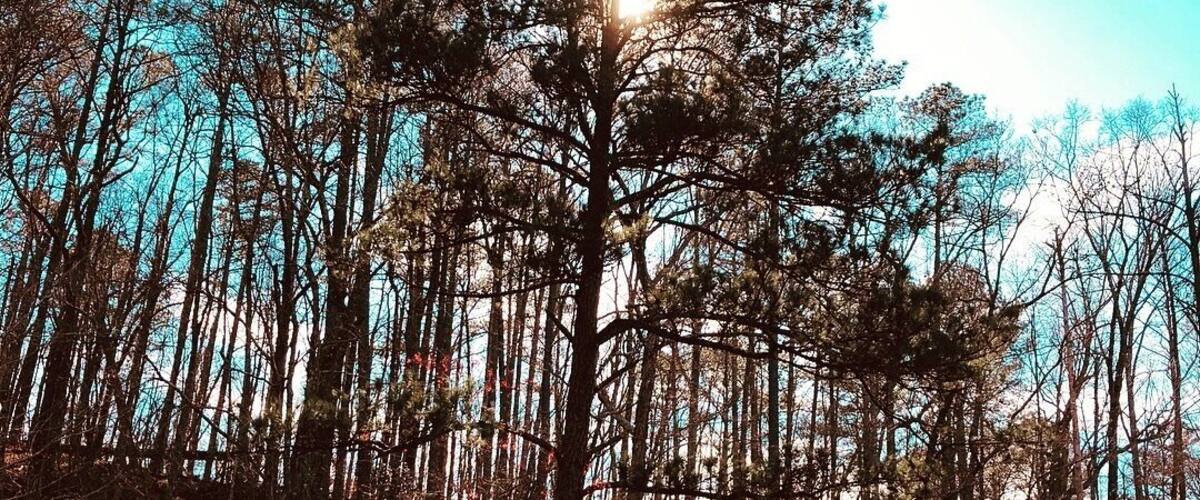 Easy hike on a beautiful day