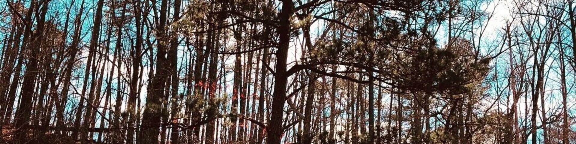 Easy hike on a beautiful day