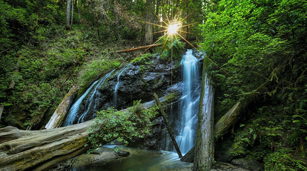 A wonderful 3 mile hike brings you to this lovely 30-foot waterfall in this hidden gem of a state park. The Fern Canyon Trail takes you to the Falls Loop Trail. I'd take the more direct trail left at the fork, but make sure you complete the loop by taking the trail over the waterfall ledge. The return part of the loop trail is full of magical groves of old and new growth redwoods. The whole trek from parking lot is about 7 miles, but worth every step. If you hit the trail early enough you might get the waterfall for yourself for a bit. (1 mile north of Mendocino, $8 day use fee)