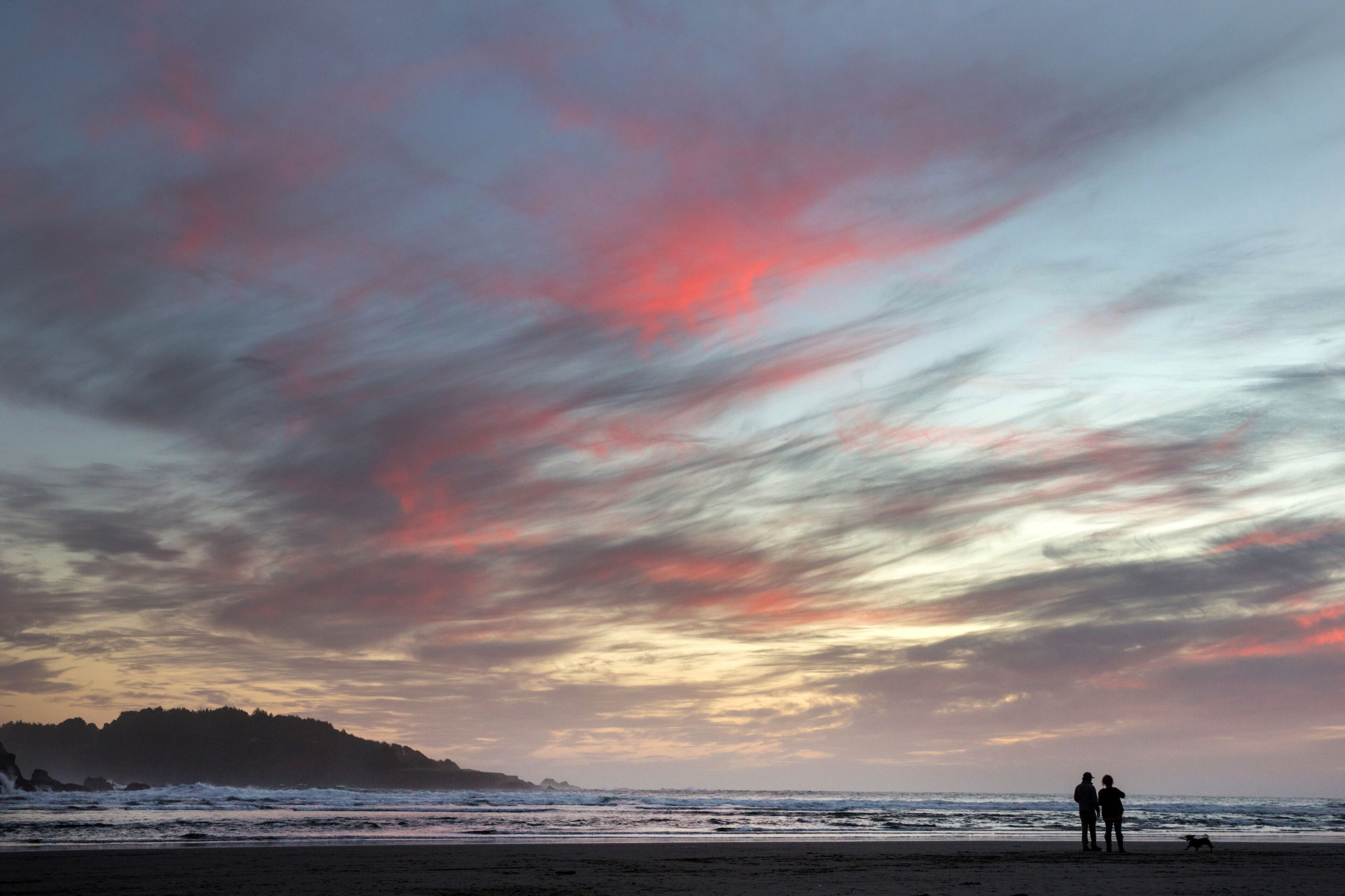 A beach with a sunset sky, silhouettes of people and a dog, and distant rocky landforms.