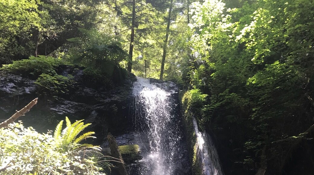 Today’s find: A waterfall in the middle of Russian Gulch State Park. We parked on the outskirts of the park and took the shorter hike (2 miles round trip) down “East Trail”. The trail will take you on a quiet walk through a lush forest and ends at the waterfall.