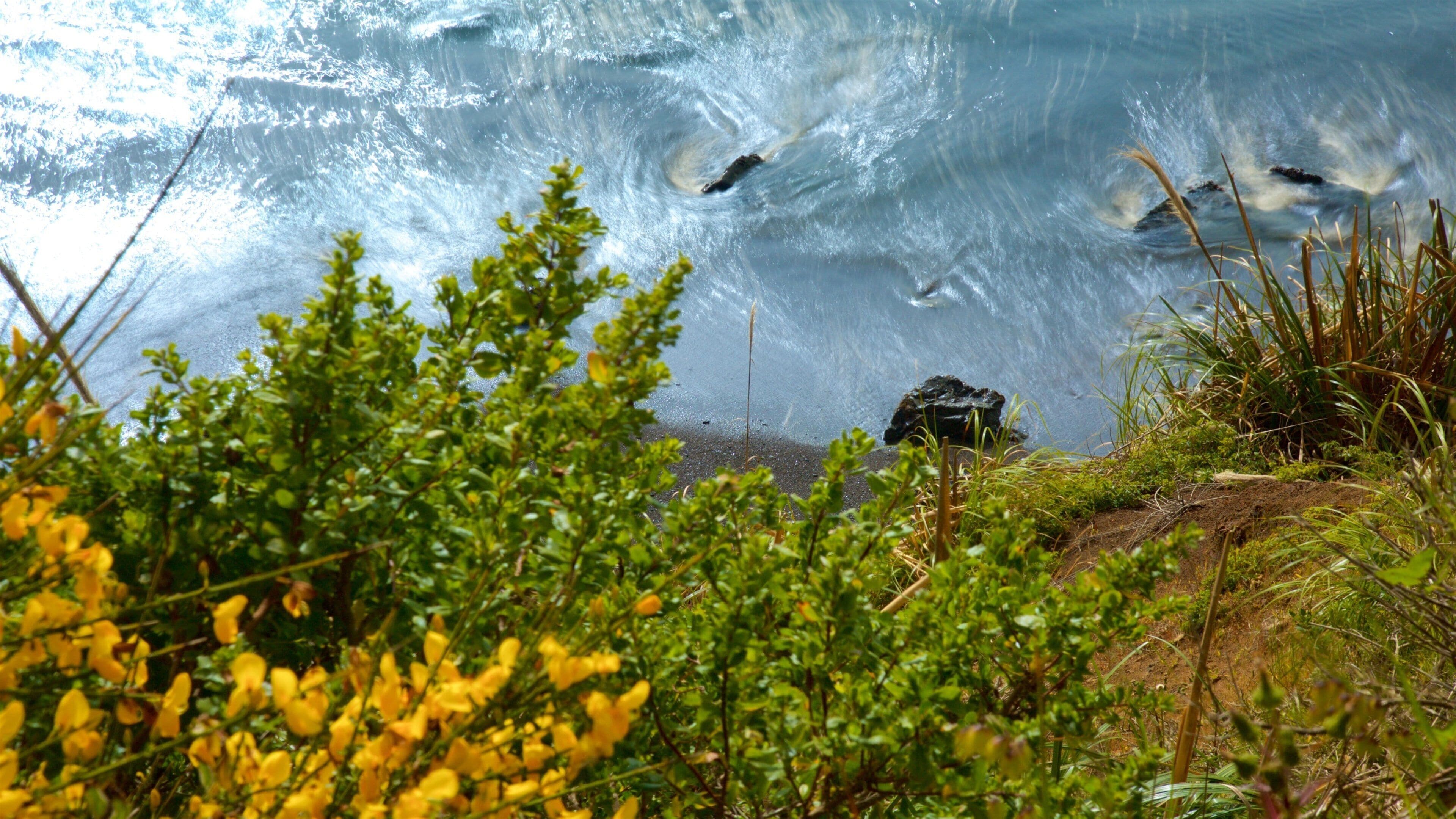 A coastal landscape with a wave crashing onto the shore, surrounded by green vegetation and yellow flowers.