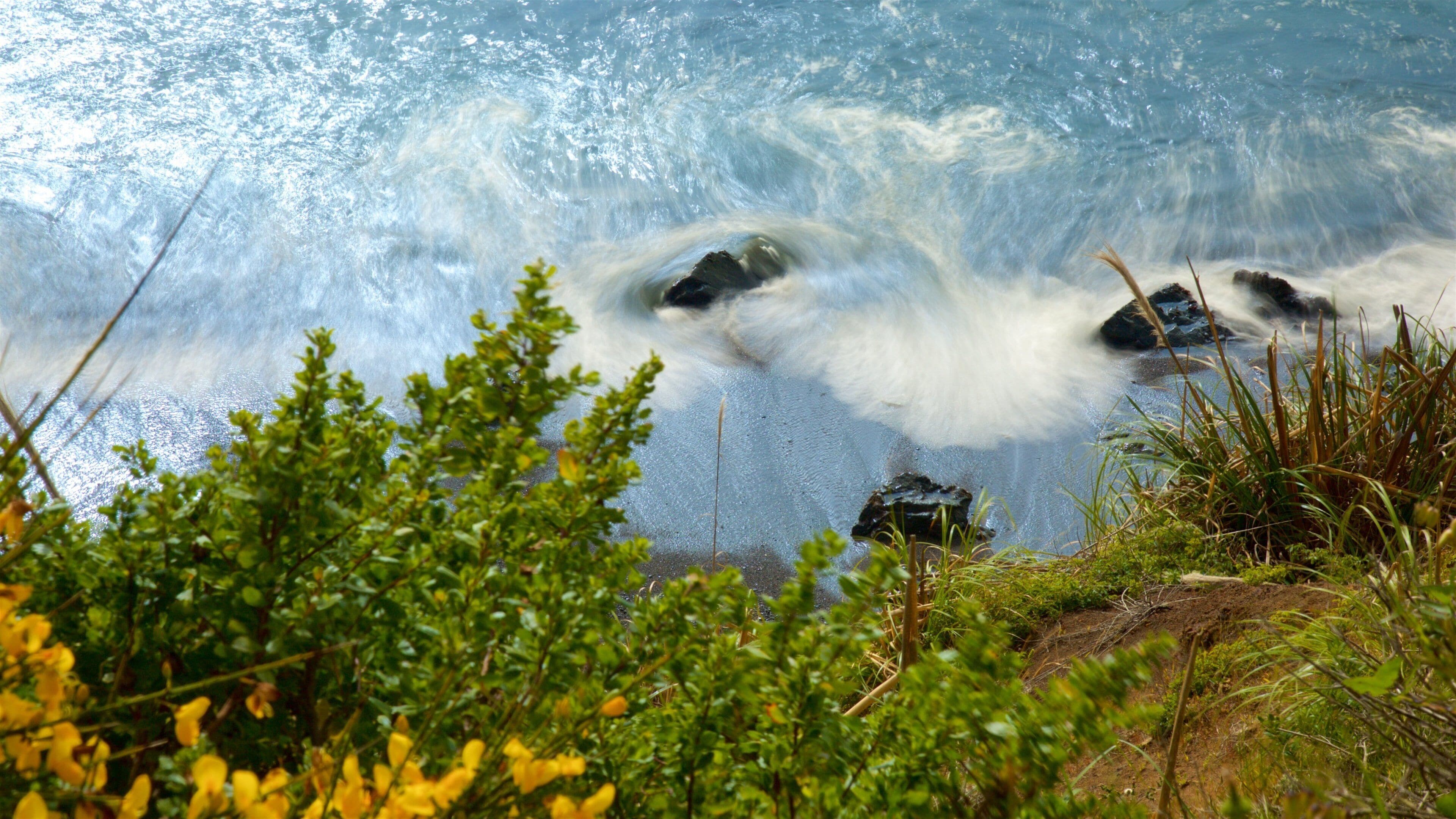 A river with rocks and water flowing over them. There are green plants and yellow flowers in the foreground.