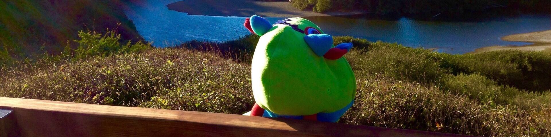 Contemplating life from the mind of a 7 year old girl as she looks out over the river that connects with the ocean. #blue