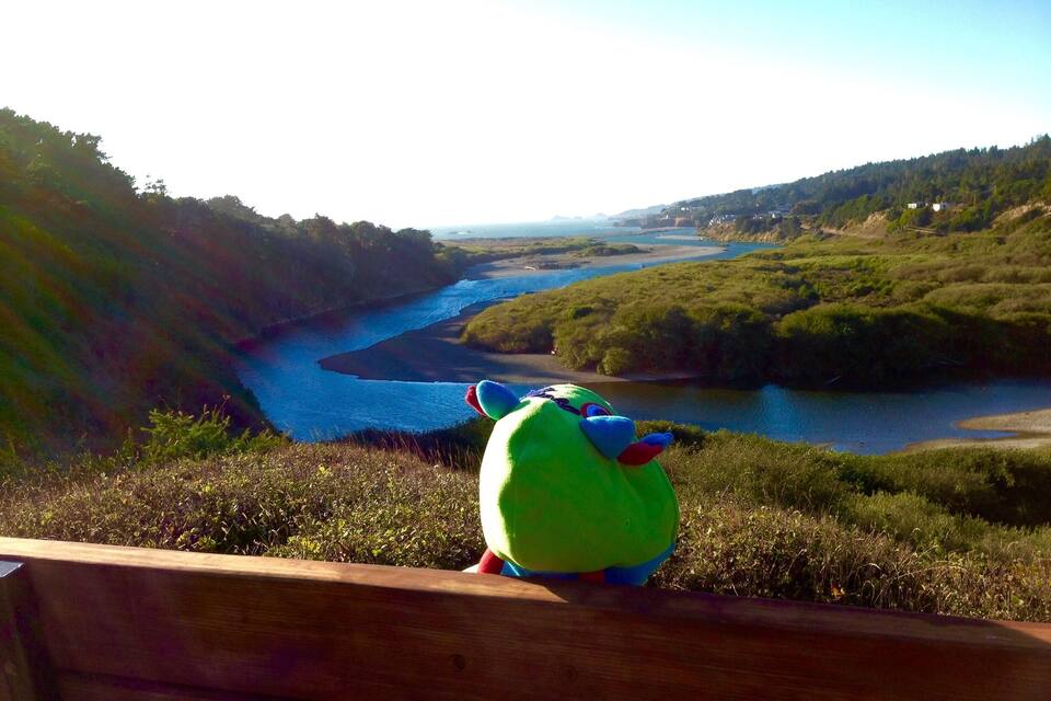 Um brinquedo de pelúcia verde sobre um banco de madeira, com vista para um rio e colinas.