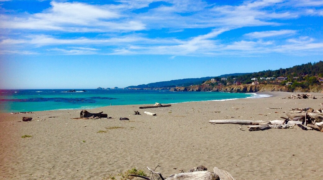 The Drift wood beach near the little town of Gualala, California. It's an amazingly peaceful beach. The skies are always blue and the ocean sparkles. But bring a jacket, it's very chilly! #blue