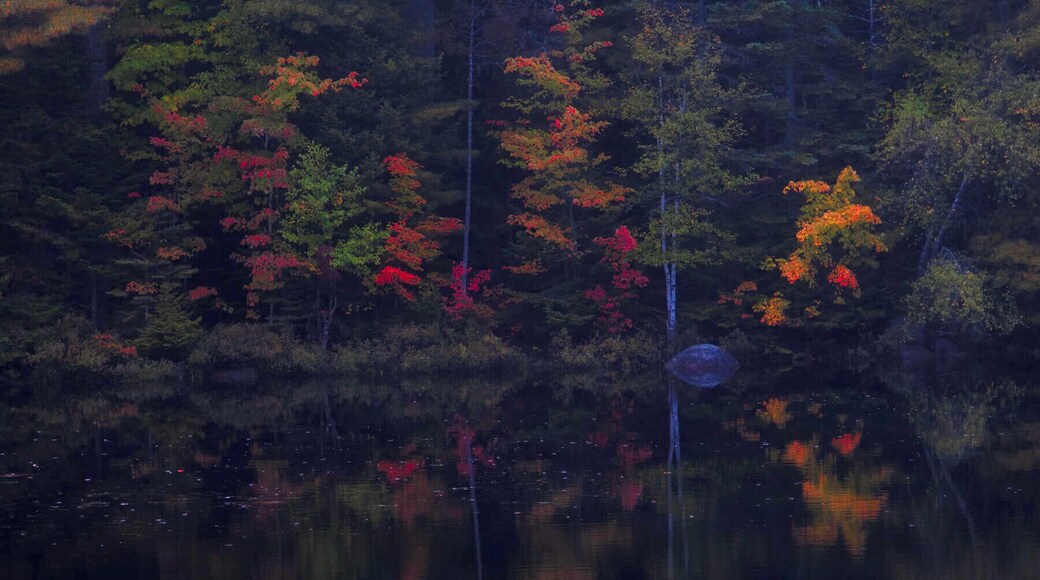 I was expecting it to be full blown Fall, but when we got there Fall had just begun. Over the next two weeks the leaves here became the most vibrant and beautiful Fall color I've ever seen.