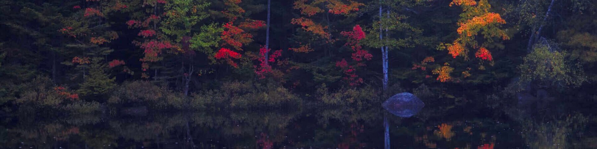 I was expecting it to be full blown Fall, but when we got there Fall had just begun. Over the next two weeks the leaves here became the most vibrant and beautiful Fall color I've ever seen.